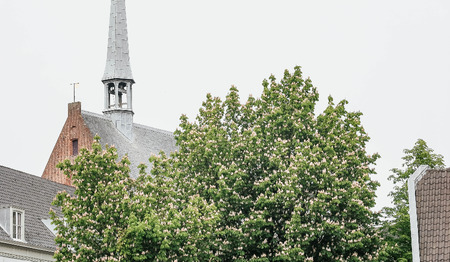 God en kerk zijn terug - 9 tips voor dorpskerken