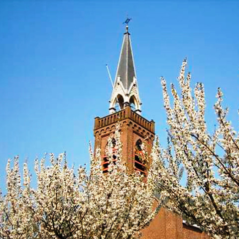 Hervormde gemeente Arnemuiden - Dorpskerk
