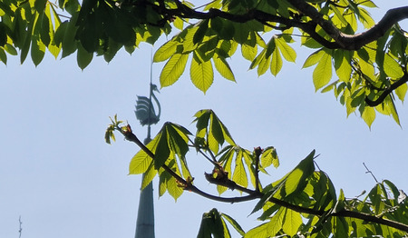 Woord en visie: Vrijheid – Vrije tijd – Sabbat tijd... 