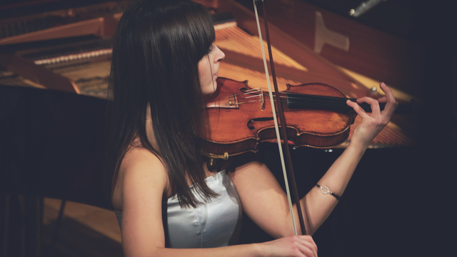 Gaven en talenten in meervoudige intelligenties