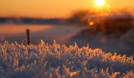Gebed voor het nieuwe jaar