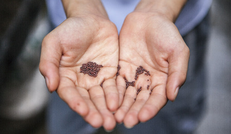 Column Wim: waarom deze kerkdienst mensen raakte