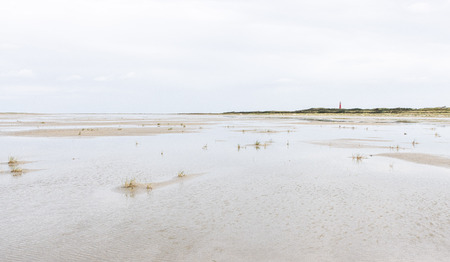Lied 665 Tot aan die dag [+ tekst]