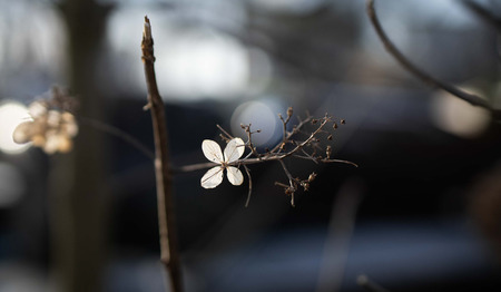 Lied: Opwekking 847 Onze schuilplaats is God [+ tekst]