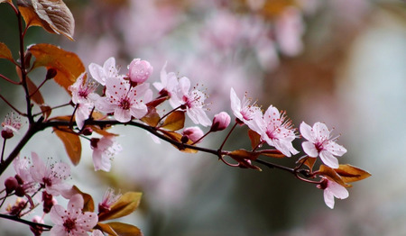 Opwekking 754 Kom o Heilige Geest [tekst + video]