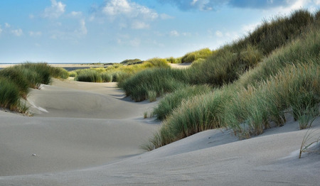 Lied: Opwekking 677 In het diepst van de nacht [tekst + video]